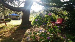 détente repos calme cèdre