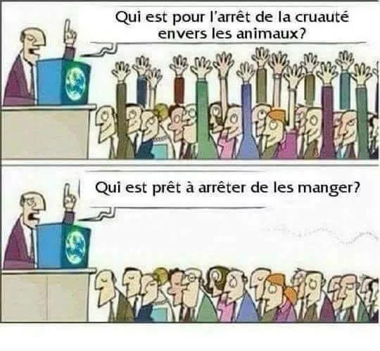 Manger les animaux, mais sans cruauté