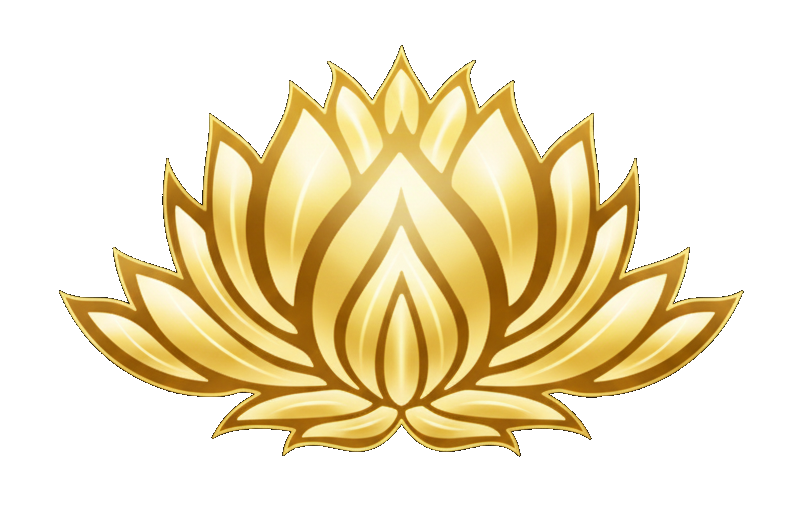 Lotus doré